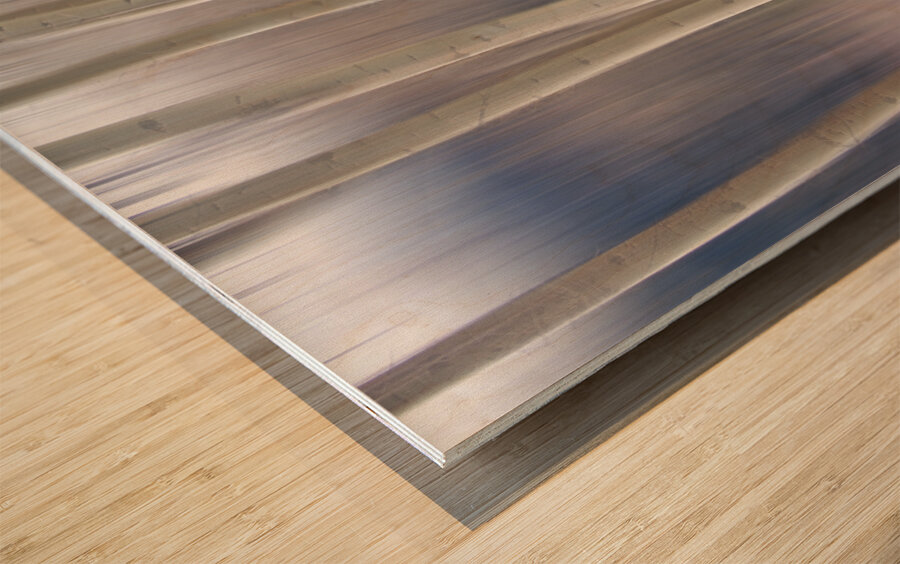 Rocky Mountain Winter Aspent Tree Forest Dream Wood print