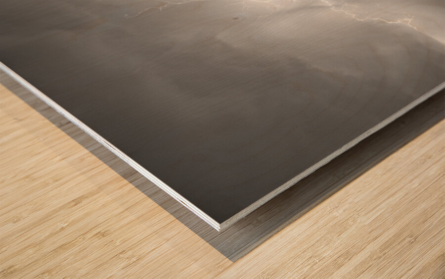 Watching The Storm From The Farm BWSC Wood print