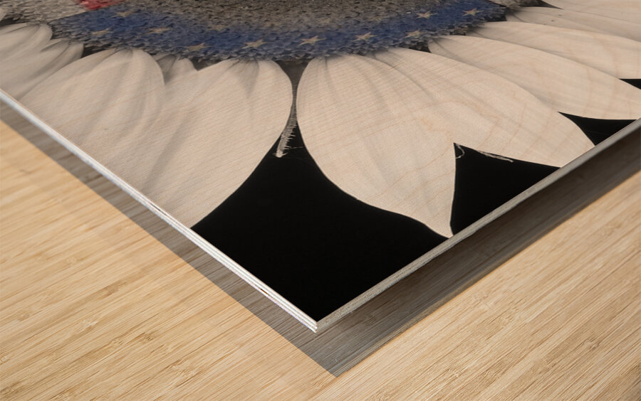 American Sunflower Power Wood print