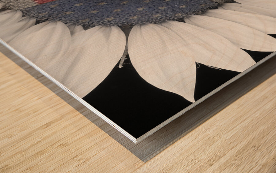 American Sunflower Power Wood print