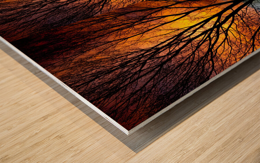 Sunset Tree Silhouette Abstract 4 1 Wood print