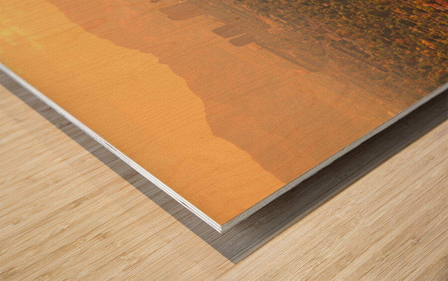 Phoenix Valley Of The Sun Wood print