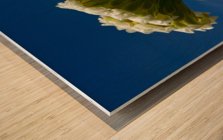 Saguaro Cactus Blooms Wood print