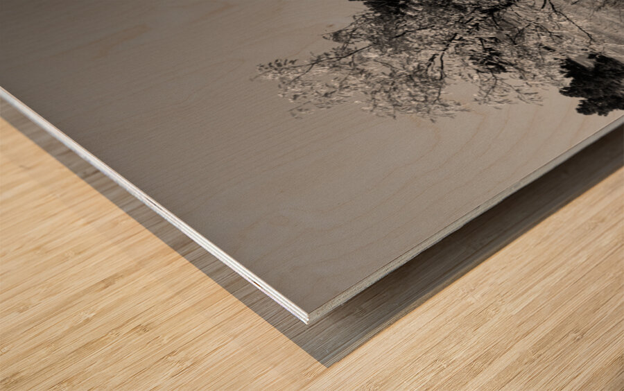 Boulder Colorado in Black and White Wood print