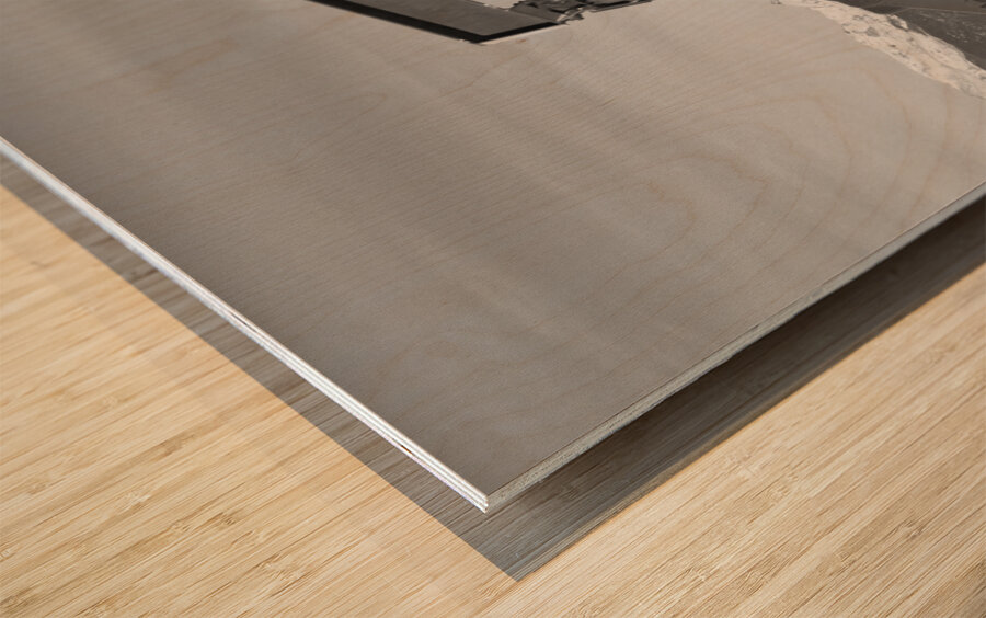 Oil Well Pumpjack Red Barn and Longs Peak BW Impression sur bois