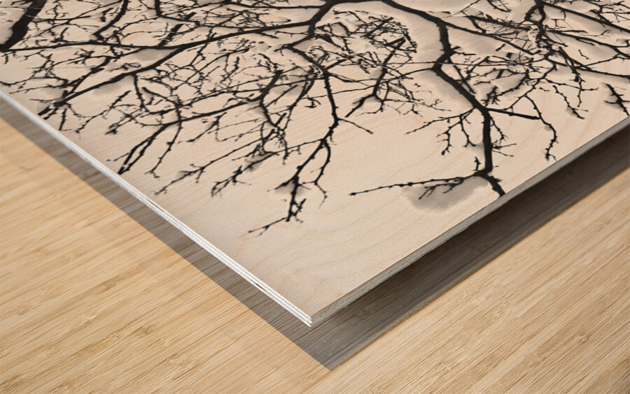 Snowy Tree Black and White Wood print