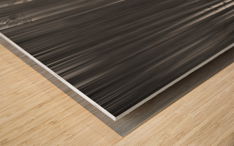 Somewhere Along the Road Dreaming Black and White Impression sur bois