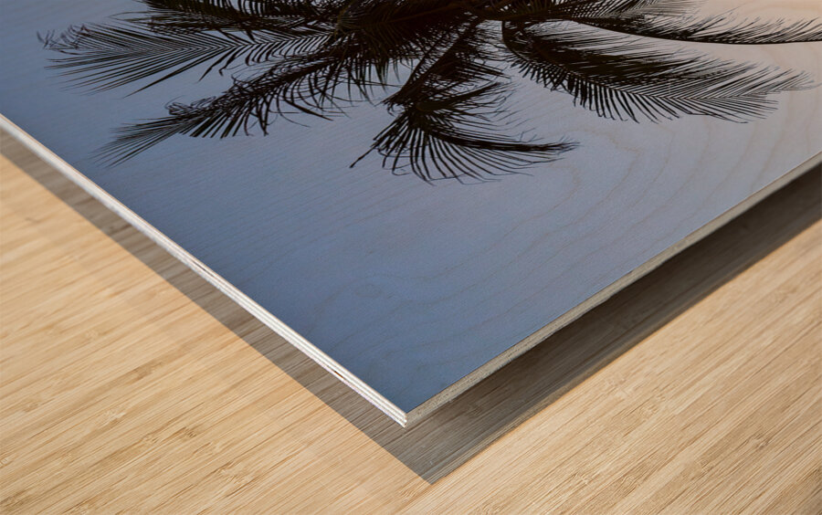 Coco Mo Tropical Sunrise Impression sur bois