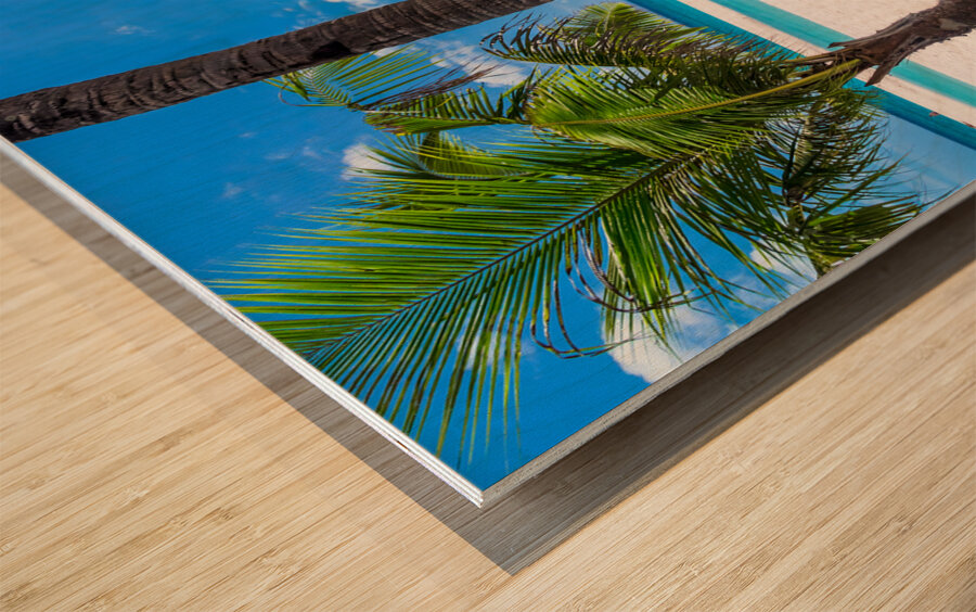 Tropical Vacation View Wood print