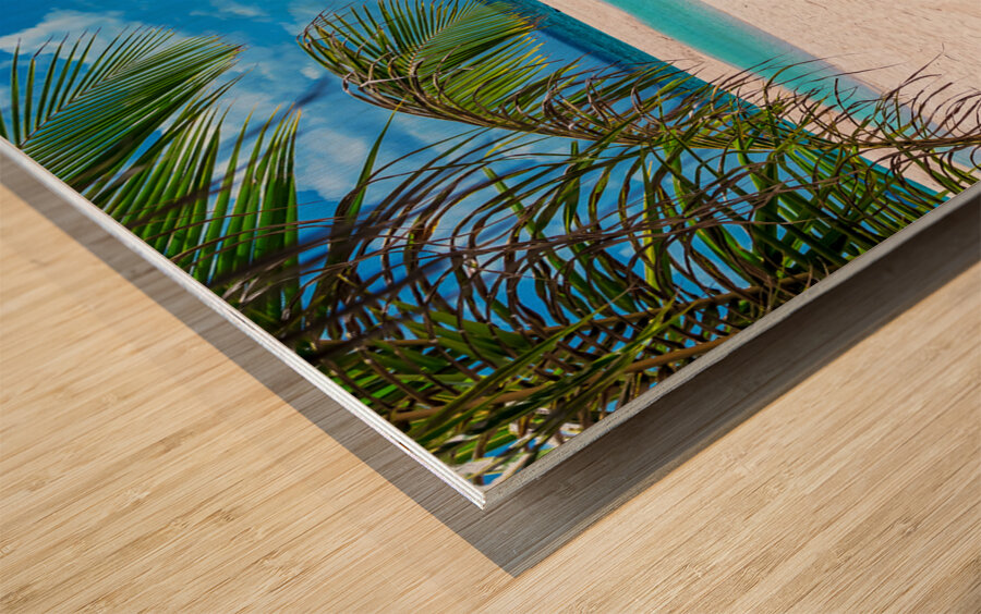 Tropical White Sand Beaches Vacation View Wood print