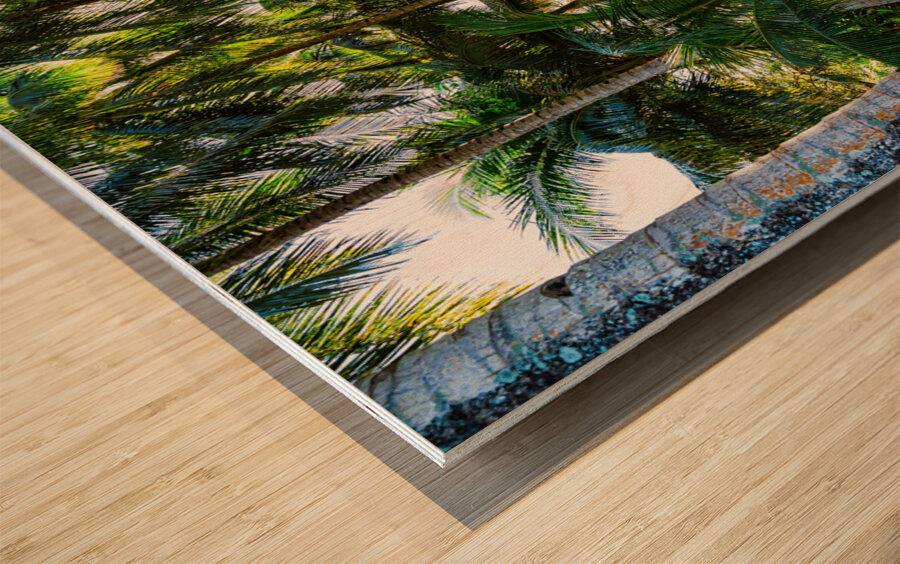 Jungle Paradise Sunshine Impression sur bois