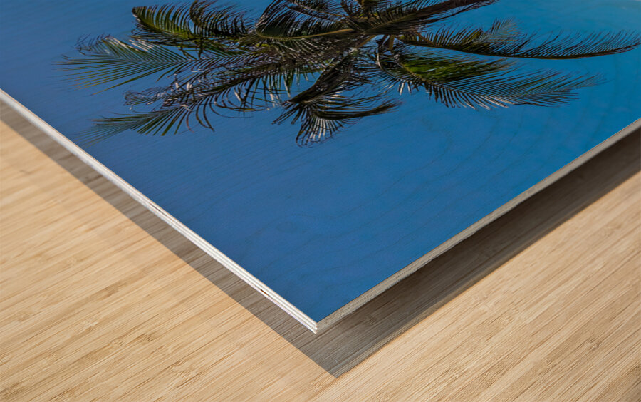 White Sand Beaches and Tropical Blue Skies Wood print