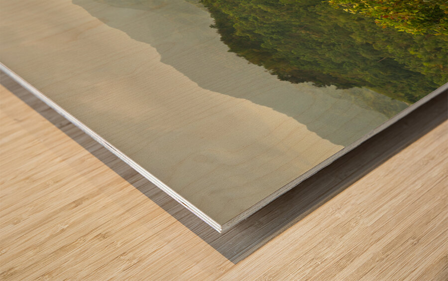 Verdant Tapestry of Tuburan Wood print