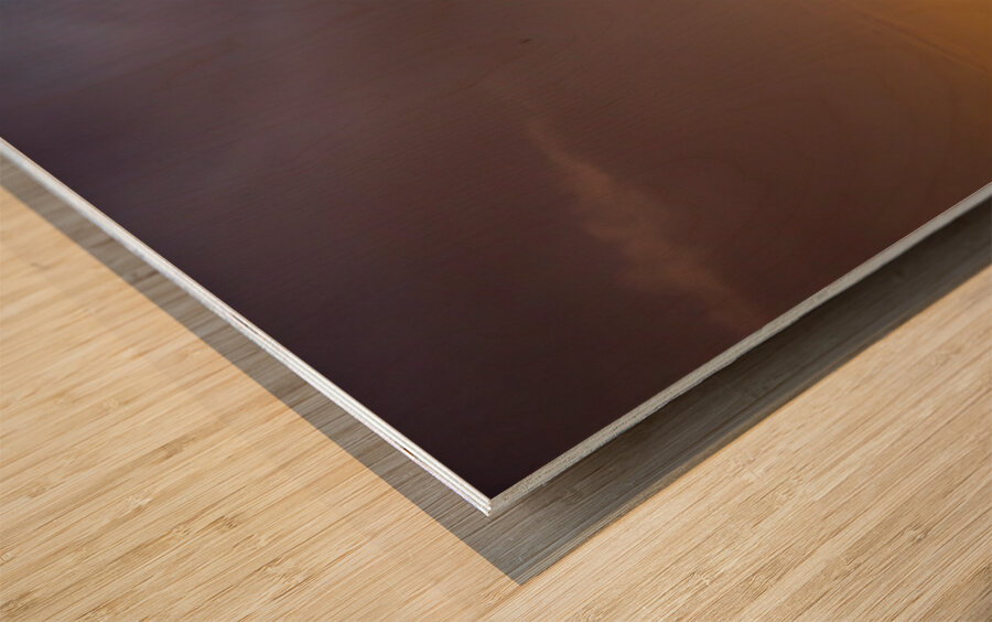 North To South Wood print