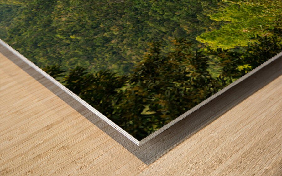 Emerald Veil of Negros Wood print