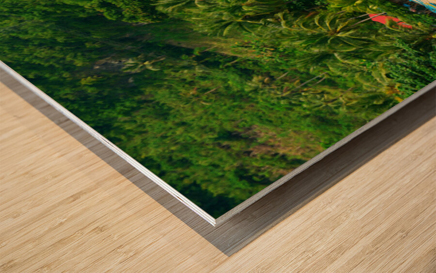 Blue Whispers of the Tropic Shore Impression sur bois