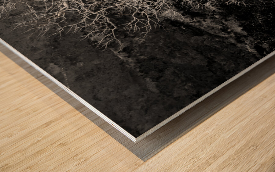 Majestic Solitude of a Bare Tree in Black and White Impression sur bois