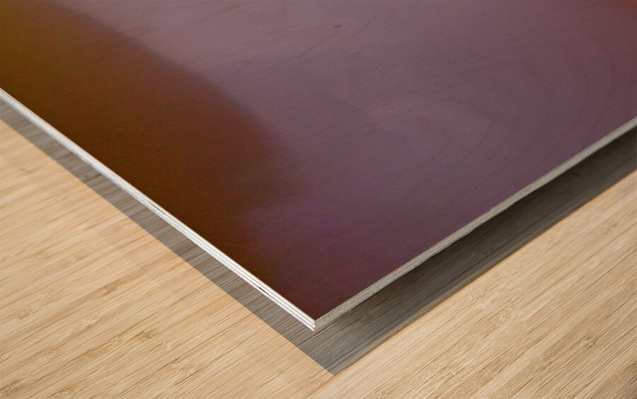 Into the Colorful Night Wood print