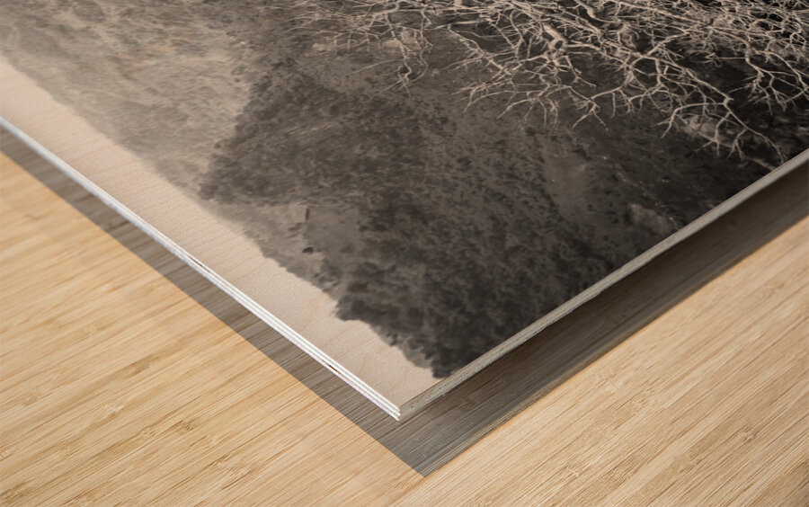 Tubarans Silent Tree Song Wood print