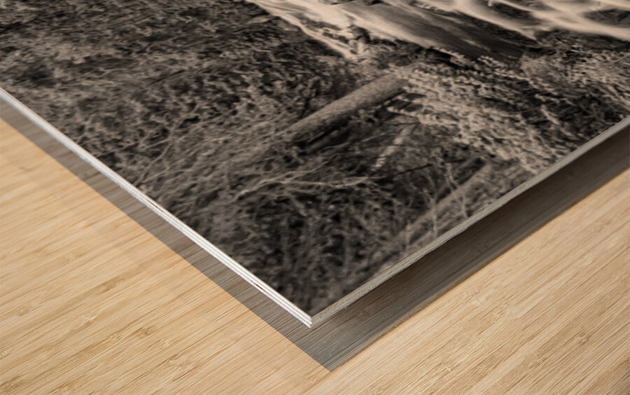 Roosevelt National Forest Stream Wood print