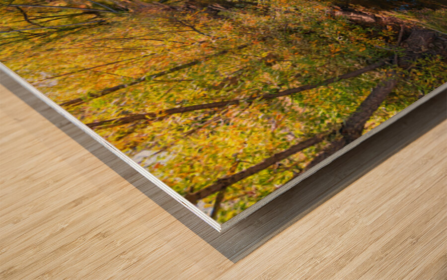 Reflections Time Wood print