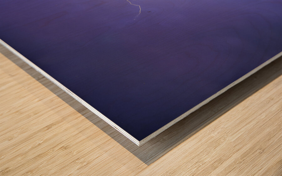 Ghost Rider Impression sur bois