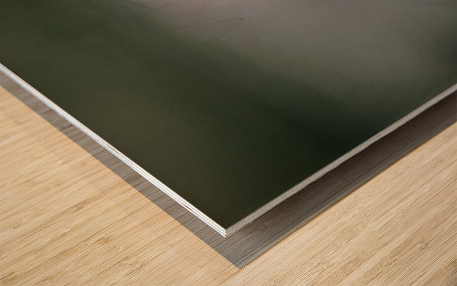 Reata Pass City Lights Lightning Strikes Wood print