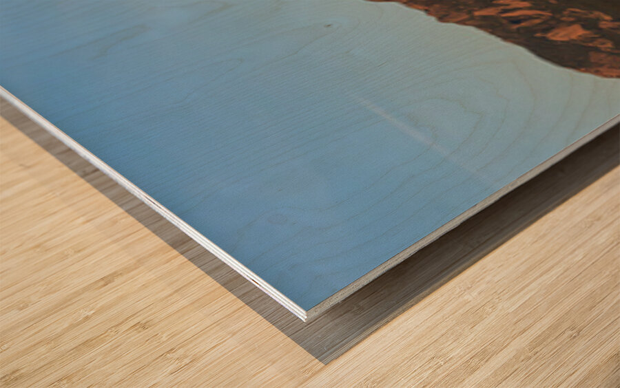 Full Moon Boulder Colorado Front Range Panorama Impression sur bois