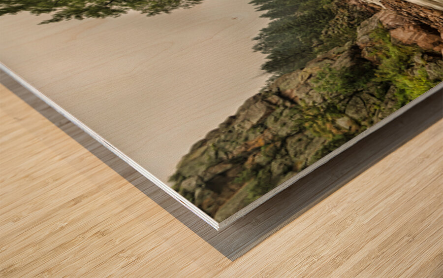 South St Vrain Canyon Portrait Boulder County Colorado Wood print