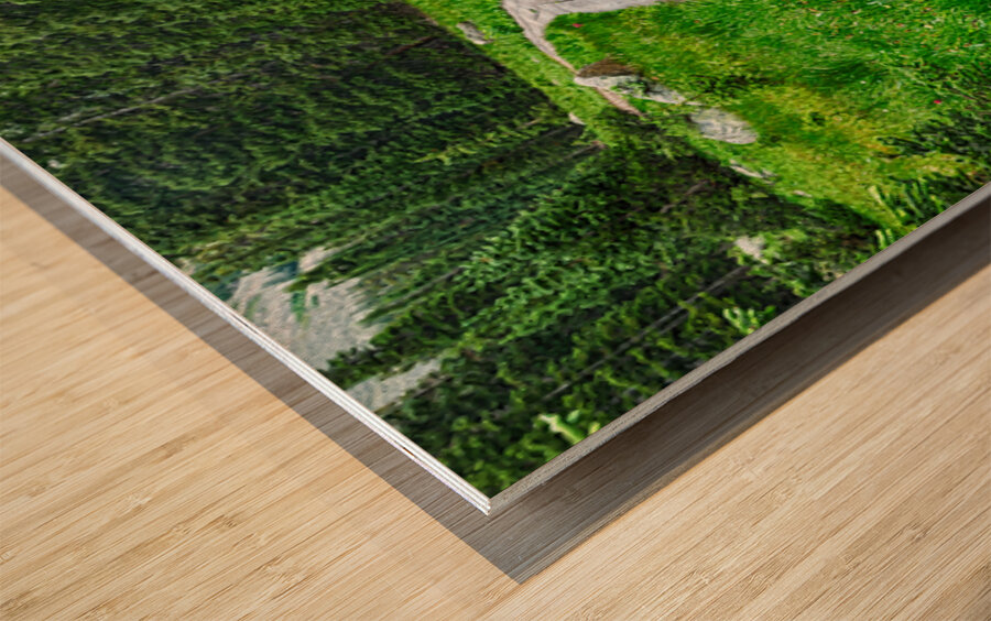 Wooden Forest Path Wood print