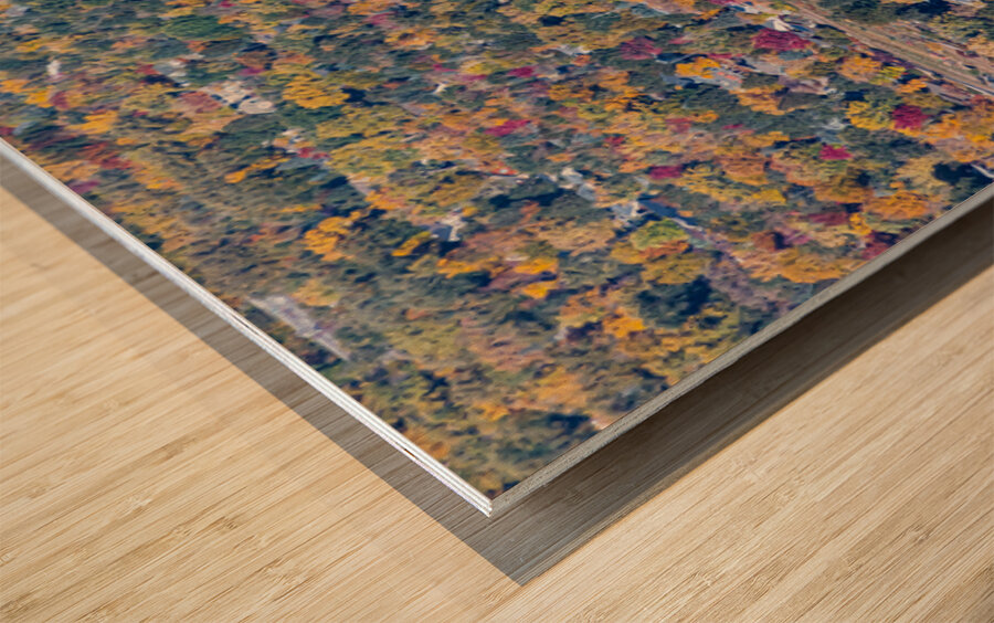 Colorful Trees of Boulder Colorado Wood print