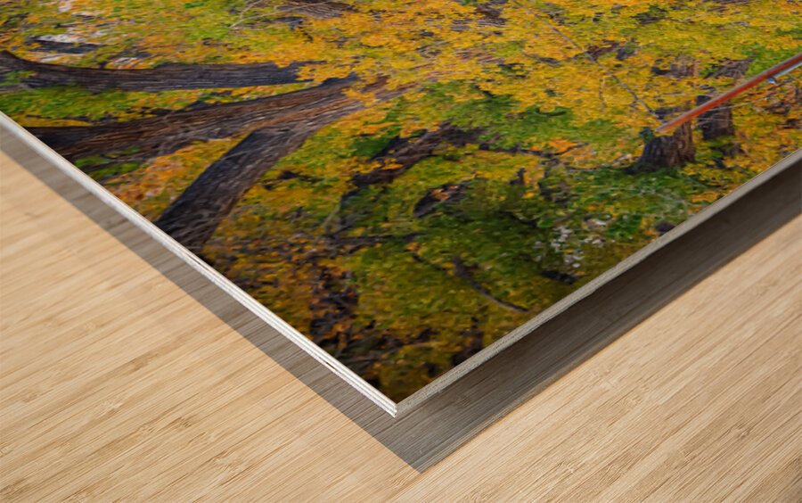 Awesome Country Road Wood print