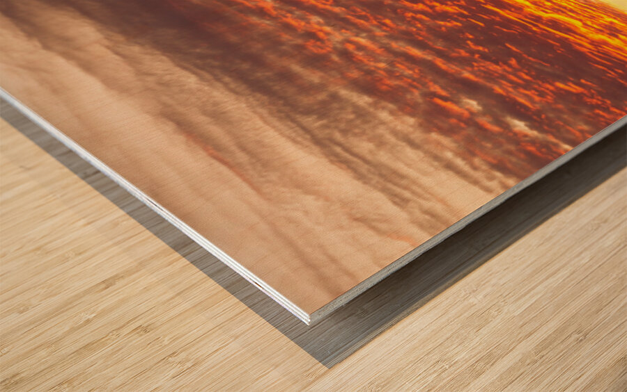 Morning Blaze Over Desert  Saguaro Giants in Arizona Wood print