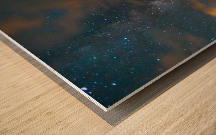 Forest In The Night Wood print