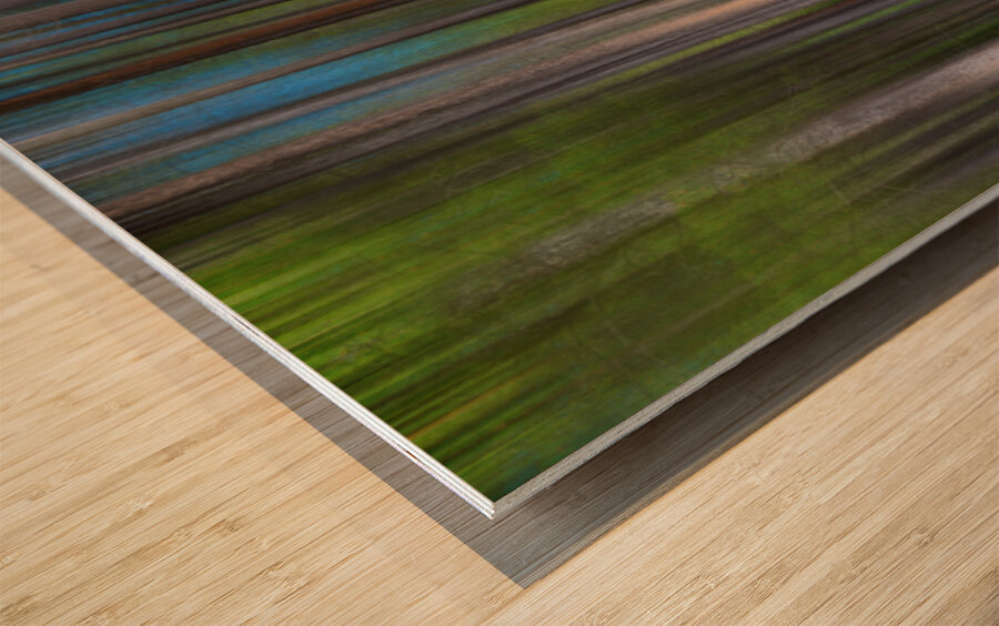 Colorful Forest Lines  Impression sur bois