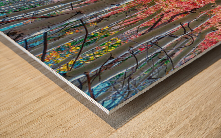 Mystic Red Autumns Fiery Carpet Aspen Grove in Fall Impression sur bois