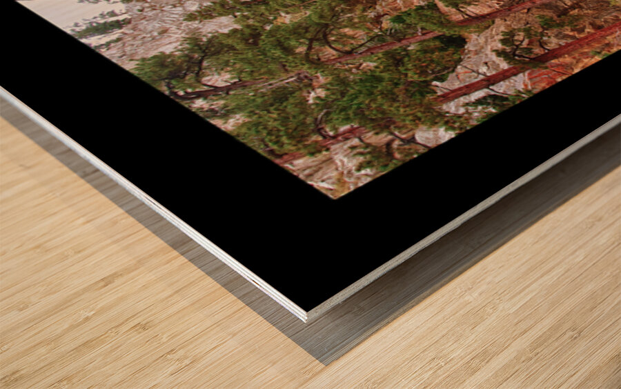 Boulder Falls Cascade Colorado Limited Edition Wood print