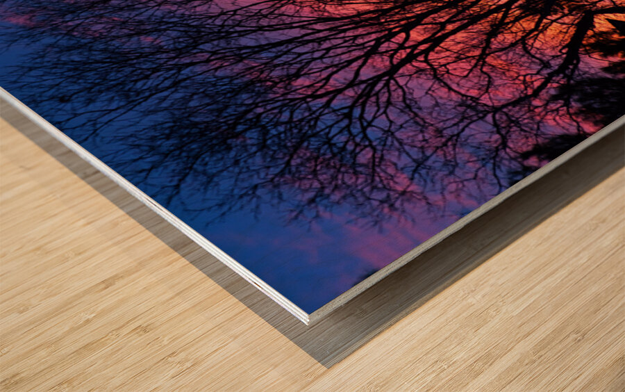 Sunset Trees Abstract Reflection Art Wood print
