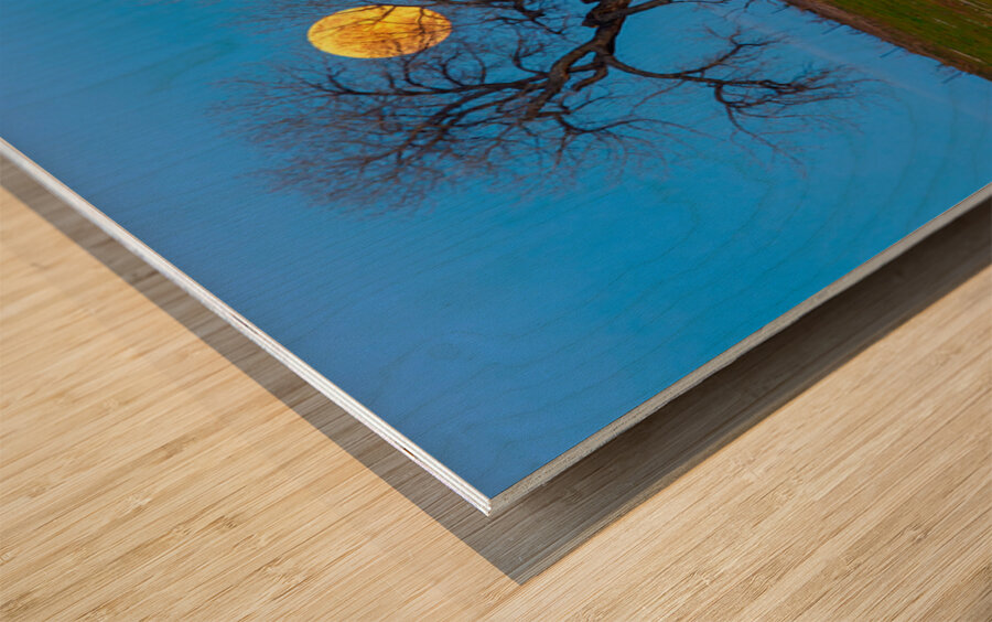 Supermoons Gilded Ascent A Celestial Masterpiece Wood print