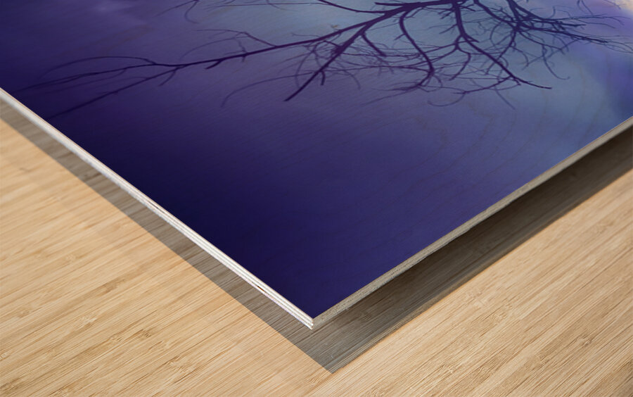 Purple Rain Over Boulder County Colorado Impression sur bois