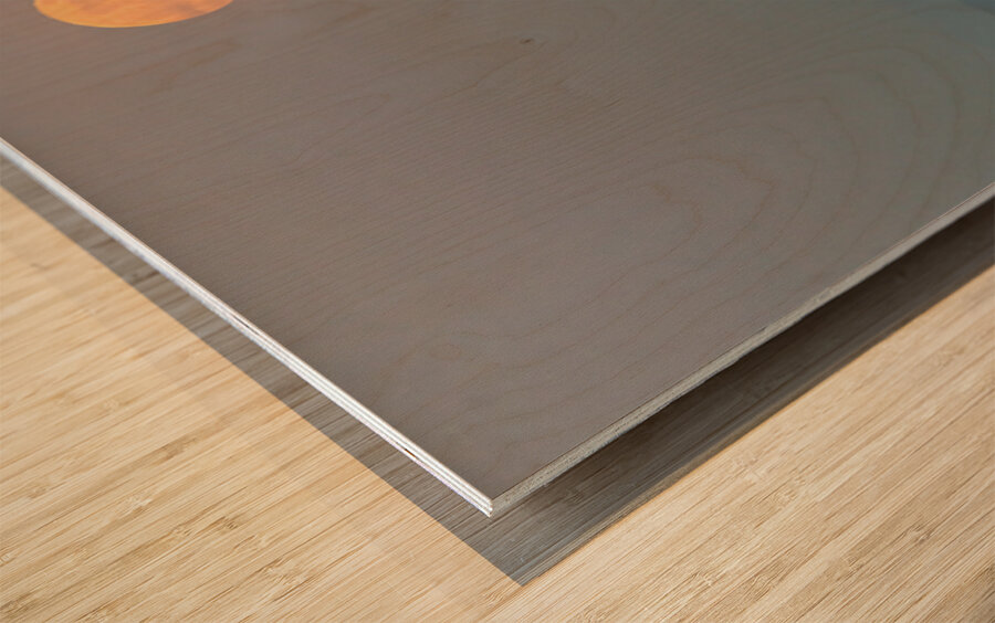 Full Moon Over the Port of Los Angeles Harbor Wood print