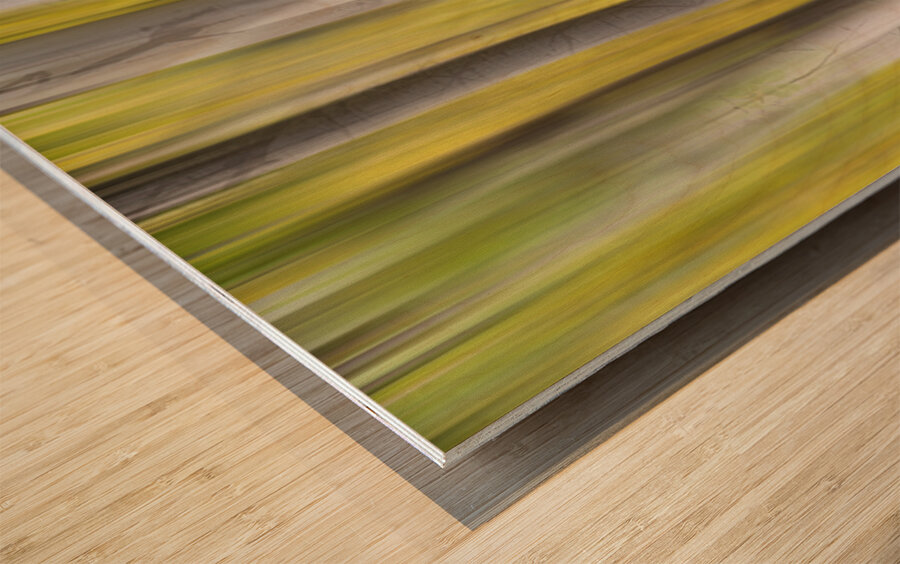 Autumn Aspen Dreamscape Abstract Landscape Impression sur bois