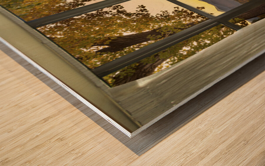 Golden Reflections Mountain Window View Fine Art Landscape Impression sur bois