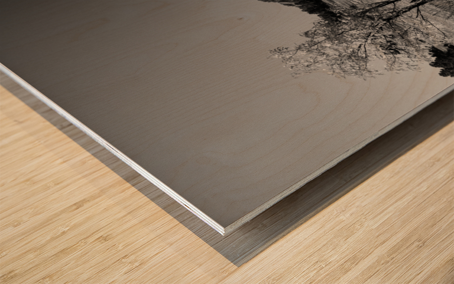 Boulder Colorado Flatirons Black White Wood print