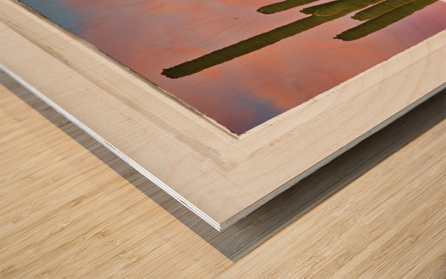 Colorful Southest White Distressed Window View Impression sur bois