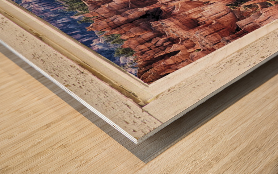 Bryce Canyon Utah View Through White Window Wood print