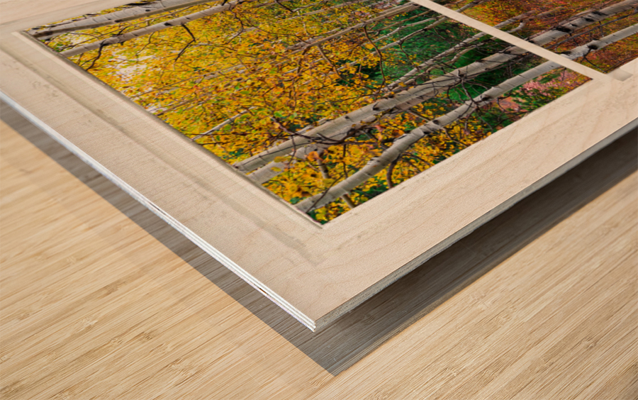 Happy Forest  Autumn Season Rustic Window View Impression sur bois