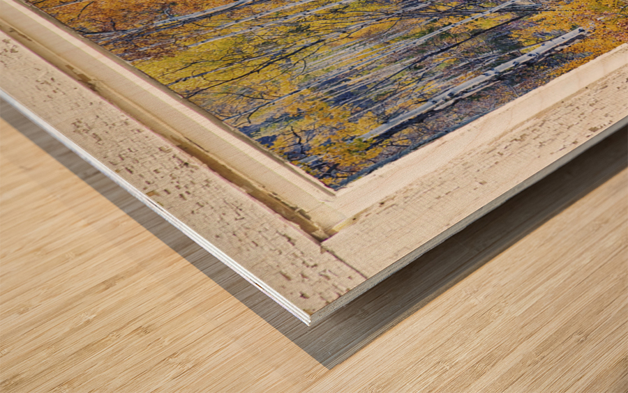 Aspen Autumn Magic White Window Impression sur bois