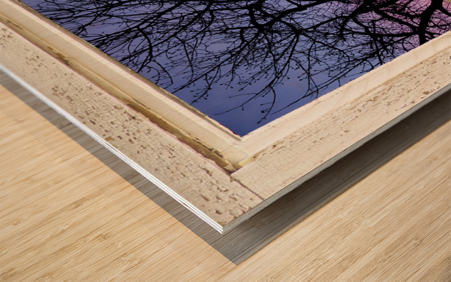 Colorful Tree White Farm House Window Portrai Impression sur bois