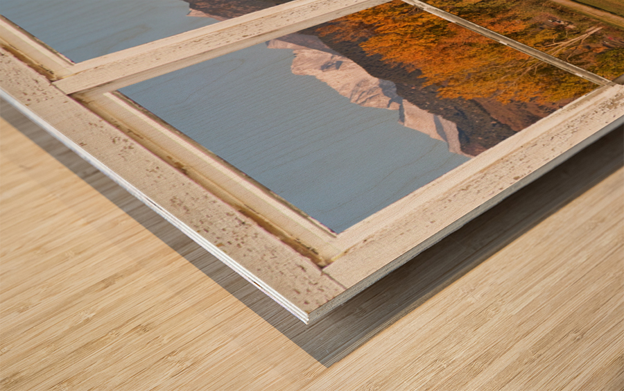 Horses Autumn White Barn Picture Window View Wood print